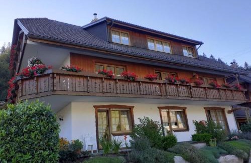 Menzenschwand-Hinterdorf Casa | One-bedroom apartment