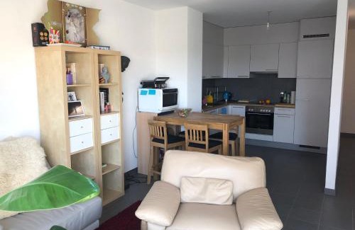 Meyrin Apartamento | One bedroom 3pieces entire Modern Appartment close to Airport, CERN, Palexpo, public transport to the center of Geneva