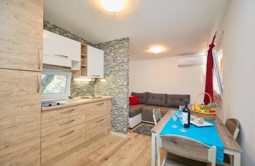 Mljet Apartamento | Apartamento de una habitación con una terraza Babino Polje, Mljet (A-22319-c)