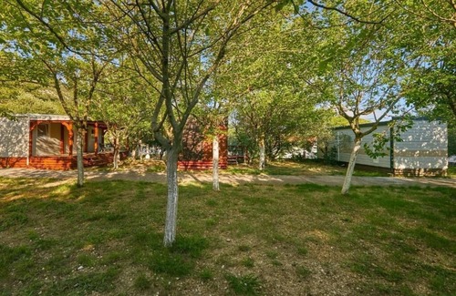 Mljet Apartamento | Apartamento de una habitación con una terraza Babino Polje, Mljet (A-22319-c)