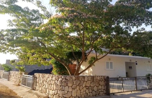 Kobas Apartamento | Apartamento de una habitación con terraza y vista al mar Bahía Saplunara, Mljet (A-4896-b)