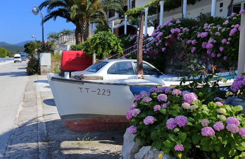 Drace Apartamento | Apartamento de una habitación en la playa Drace, Peljesac (A-10130-d)