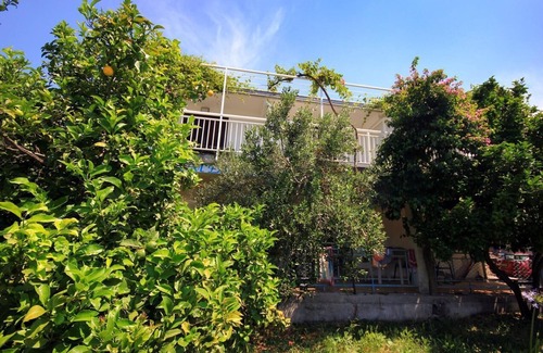 Viganj Apartamento | Apartamento de una habitación con terraza y vista al mar Viganj, Peljesac (A-260-b)