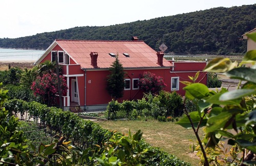 Suha Punta Apartamento | Apartamento de una habitación con terraza y vista al mar Kampor, Rab (A-4972-a)