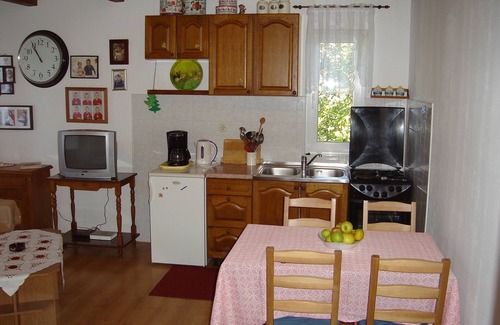 Suha Punta Apartamento | Apartamento de una habitación con una terraza Kampor, Rab (A-5014-b)