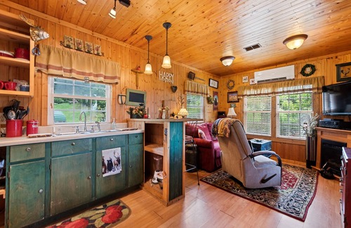 Asheville Cabina | One Bedroom Cabin 43 Acre Retreat Pets OK-Fenced, Private, Views, Internet