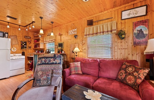 Asheville Cabina | One Bedroom Cabin 43 Acre Retreat Pets OK-Fenced, Private, Views, Internet