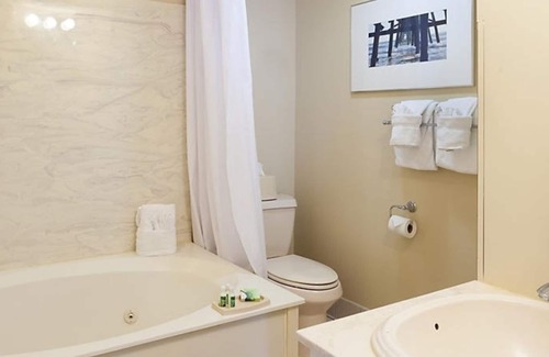 Downtown Myrtle Beach Complejo | One Bedroom Condo, Myrtle Beach 3317100