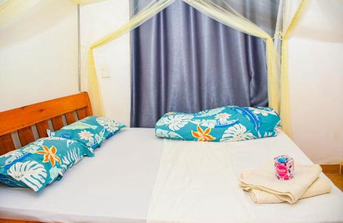 Kasarani Apartamento | One Bedroom Furnished in Kasarani-Nairobi