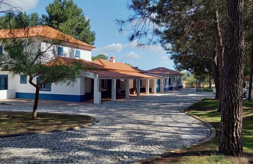 Alcacer do Sal Apartamento | One-Bedroom Suite