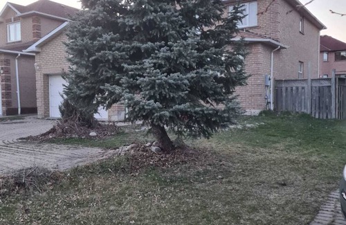 Hurontario Casa | One Bedroom Suite Basement Apartment with private Toilet
