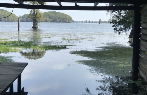 Karnack Casa | Único retiro de Caddo Lake con vistas espectaculares de la costa