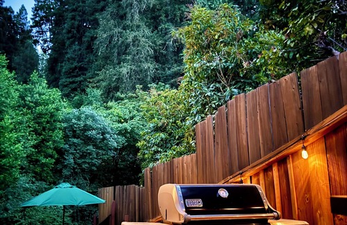 Woodacre Casa | One of a kind, modern, nature lovers dream home on a creek in redwoods