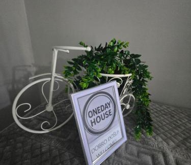 Subotica Apartamento | OneDay Apartment