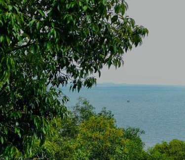 Ham Ninh Apartamento | Ong Huong House Can 2