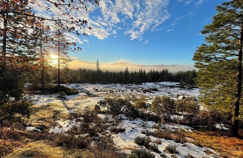 Placerville Cabina | Only 1 mile away from Jenkinson Lake, an hour away from South Lake Tahoe.