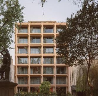 Roma Norte Hotel | ONTO Alvaro Obregon Mexico City