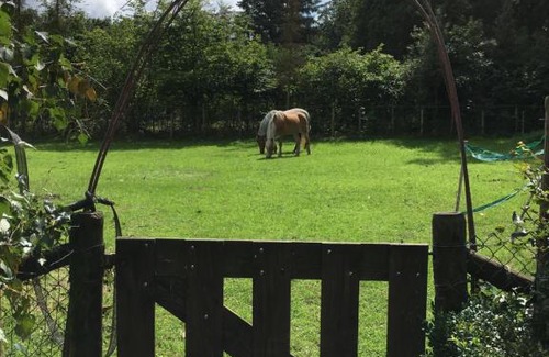 Bosgebied Hoenderloo Casa | Op Hoog Baarlo