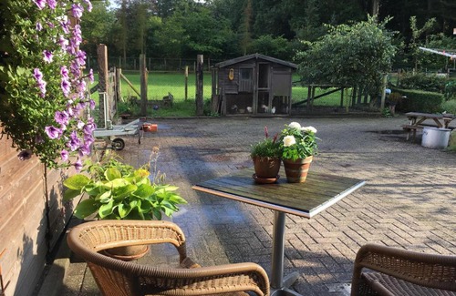 Bosgebied Hoenderloo Casa | Op Hoog Baarlo