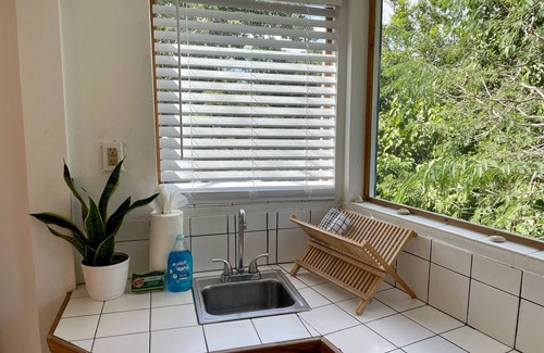 Contant Farms Apartamento | Open Air Breezes Nestled Among Our Tamarind Tree - 5 Minutes from Cruz Bay Beach
