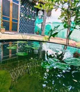 Gvanagar Casa | Open house