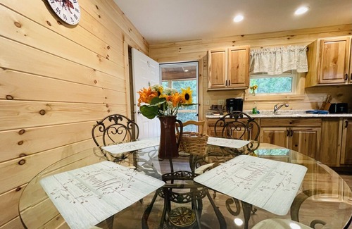 Hot Springs Cabina | Open! New Mountain Cabin, Privacy, Wildlife, Sunsets! Watch the Seasons Change