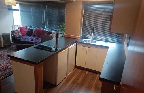 Shawlands Apartamento | Open space studio in Shawlands
