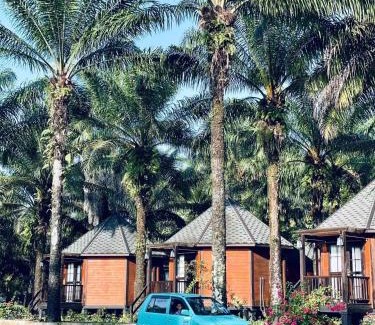 Semporna Hotel | OPINE VILLAS/菠萝的海.度假别墅