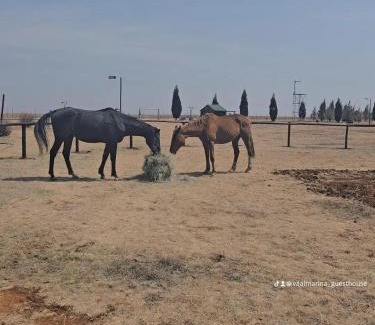 Dipaleseng Apartamento | Oppi Hook Guest Lodge and Camping