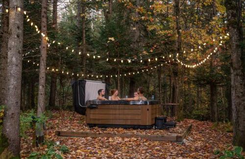 Frampton Chalet De Esquí | OPPY SHACK - SPA, BABY FOOT, BASKETBALL, LAC, RIVIERE