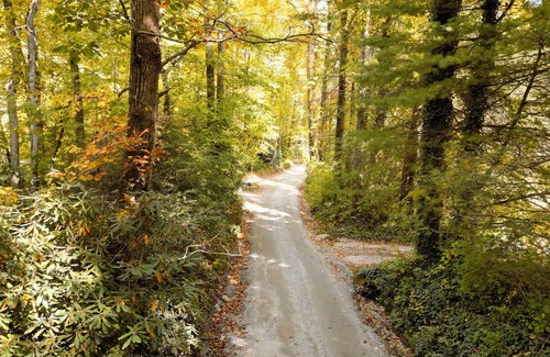 Gerton Casa | Optional Longterm stays & 25min to Asheville & 10min to groceries &hiking Trails
