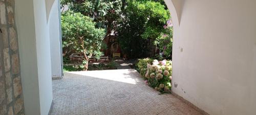 Gornji Kono Apartamento | Opus Three apartment Dubrovnik