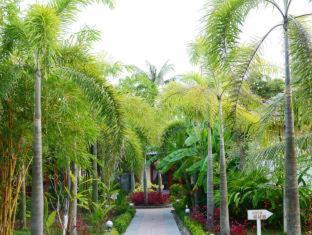 Duong Dong Complejo | Orange Resort