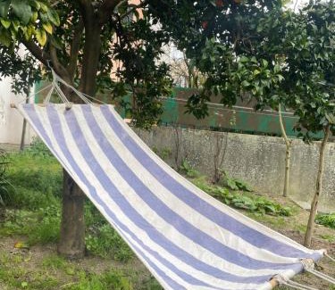 Sao Goncalo Apartamento | Orange tree apartment