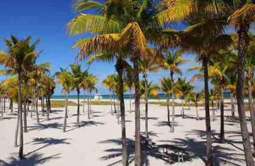 Coral Way Apartamento | Orange You Glad you came
