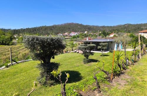 Castro Daire Complejo | ORberry