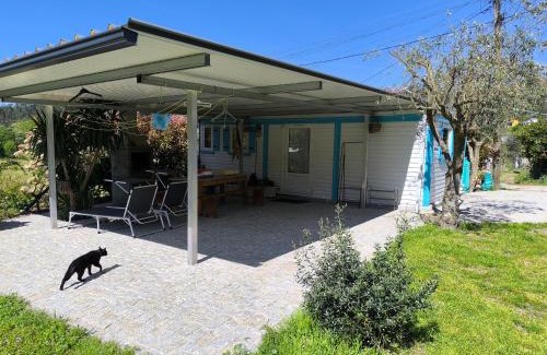 Castro Daire Complejo | ORberry