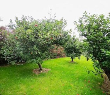Dingle Casa | Orchard Cottage