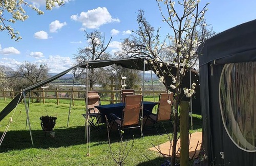 Forest of Dean Casa | Orchard Family Yurt, Willow Hill