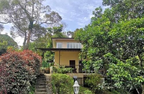 Janda Baik Casa | Orchard Villa, Radiant Janda Baik