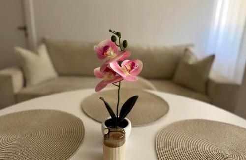 Sector 5 Apartamento | Orchid Apartment