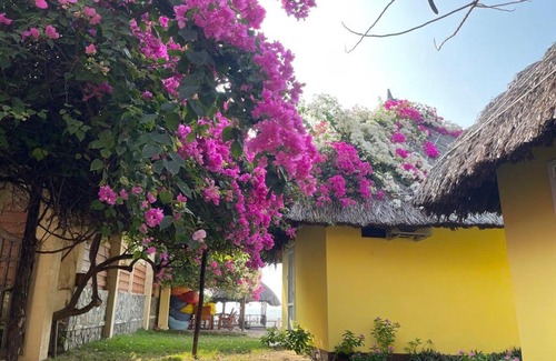 Phan Thiet Complejo | Orchid Boutique Beach Resort