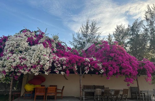 Phan Thiet Complejo | Orchid Boutique Beach Resort