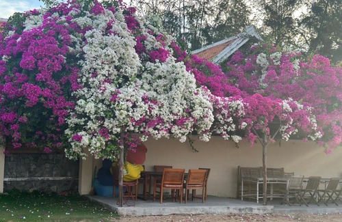 Phan Thiet Complejo | Orchid Boutique Beach Resort