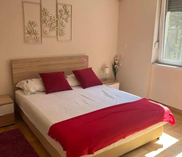 Palilula Apartamento | Orchid House