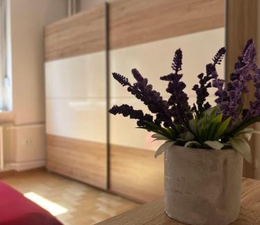 Palilula Apartamento | Orchid House