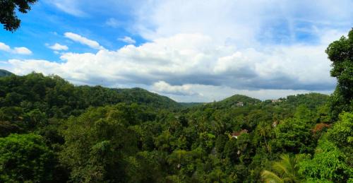 Anniwatta Cama Y Desayuno | Orchid Villa Kandy