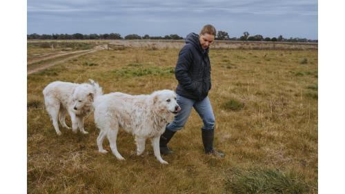 Mundoona Casa | Organic Farm Stay by Tiny Away
