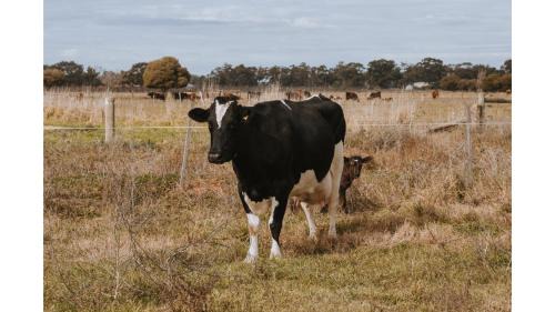 Mundoona Casa | Organic Farm Stay by Tiny Away