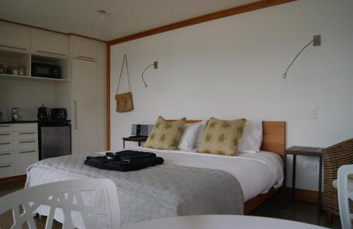 Oriental Bay Apartamento | Oriental Bay At Its Best